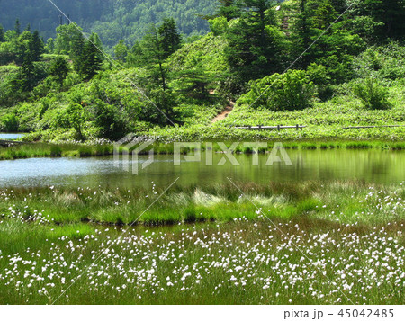 白根山 白根山 45042485