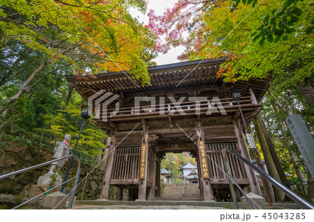 色づく大窪寺の木々　四国八十八ヶ所霊場第88番札所 45043285