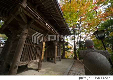 色づく大窪寺の木々　四国八十八ヶ所霊場第88番札所 45043287