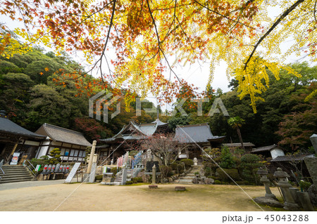 紅葉 大窪寺(四国八十八ヶ所霊場第88番札所) 紅葉 大窪寺(四国八十八ヶ所霊場第88番札所) 45043288