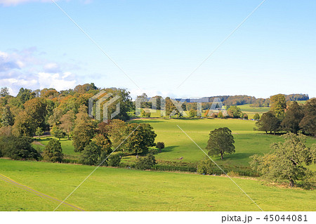 38 家具・インテリア イギリスの田舎のお家 モルタル背景 撮影スポット