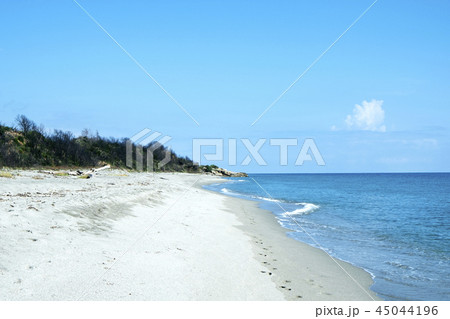 Riva Bella beach in Corsica, France 45044196