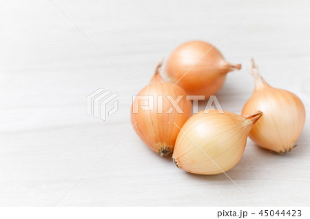 野菜　プチオニオン　品種：ペコロス 45044423