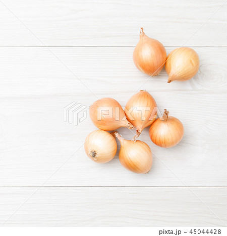 野菜　プチオニオン　品種：ペコロス　1：1 45044428