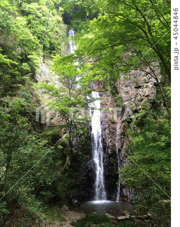 自然の流れ 45044846