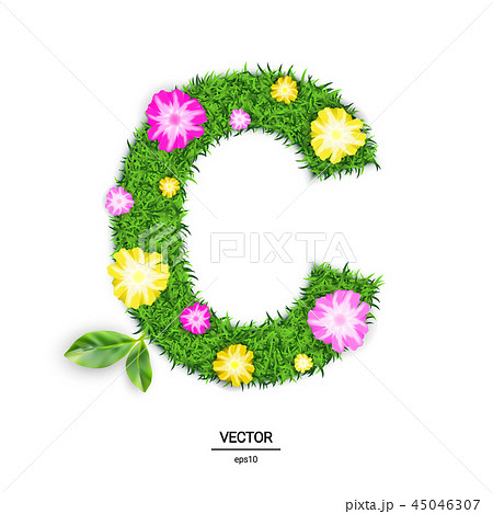 Vector Illustration 45046307