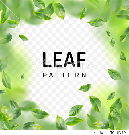 Vector Illustration 45046330
