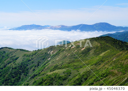 白砂山からの草津白根山 白砂山からの草津白根山 45046370