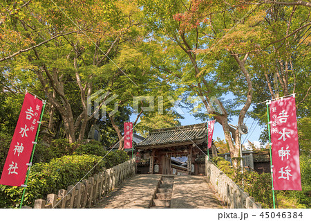 吉野山 紅葉 吉野山 紅葉 45046384