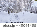 Stairs in winter park covered with snow. 45046468