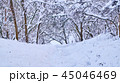 Stairs in winter park covered with snow. 45046469
