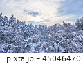 Winter view landscape with trees covered with snow 45046470