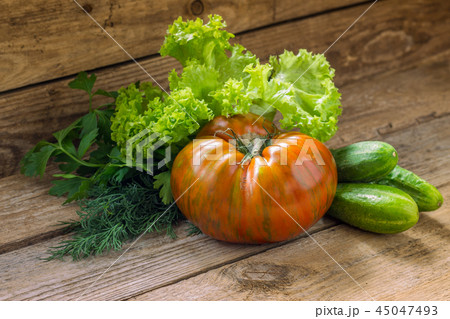 Tomato breed Berkeley Tie Dye Pink with cucumbers 45047493