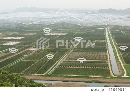 Internet of things in agriculture 45049014