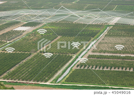 Internet of things in agriculture 45049016