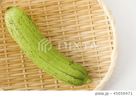 ヘチマ ヘチマ 45050471
