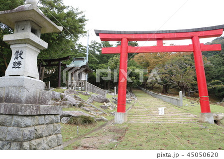 金華山黄金山神社、表参道の鳥居 45050620