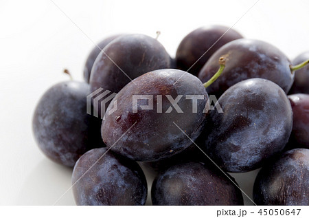 プルーン  45050647
