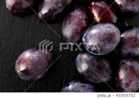 プルーン プルーン 45050702