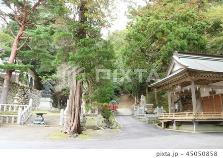 金華山黄金山神社、神楽殿 45050858
