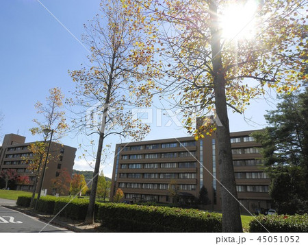 広島大学文学部 東広島キャンパス Hiroshima University 広島大学文学部 東広島キャンパス Hiroshima University 45051052