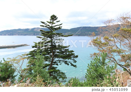 金華山黄金山神社参道から牡鹿半島と金華山瀬戸を望む 45051099