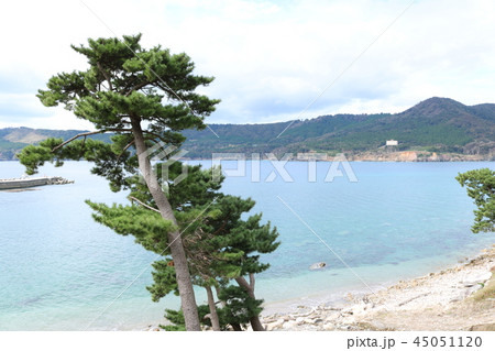 金華山黄金山神社参道から牡鹿半島と金華山瀬戸を望む 45051120