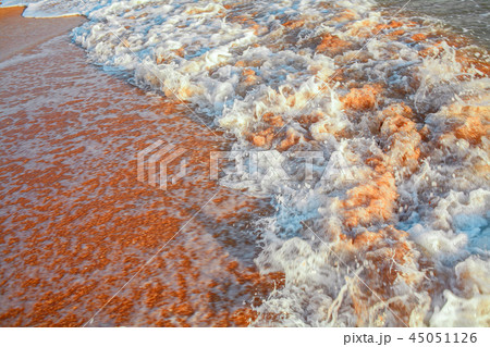 Sea waves on sandy  beach 45051126
