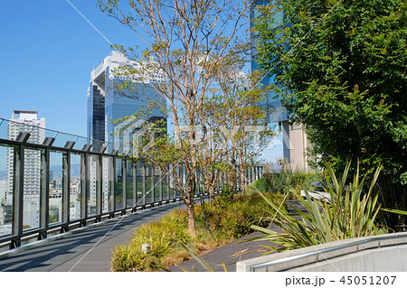 ビル屋上庭園からの眺め 45051207