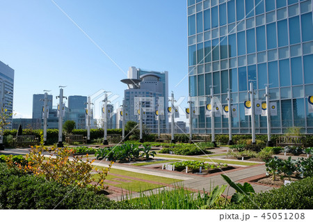 天空の農園 45051208