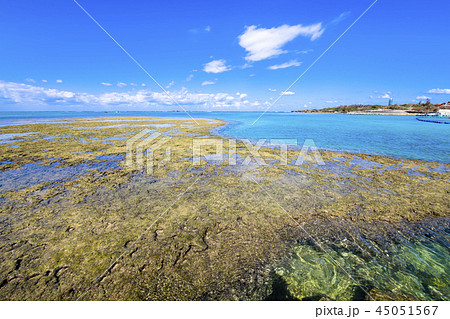 沖縄の海 残波岬 45051567