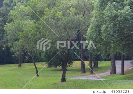 the nature of background at outdoor the nature of background at outdoor 45052223