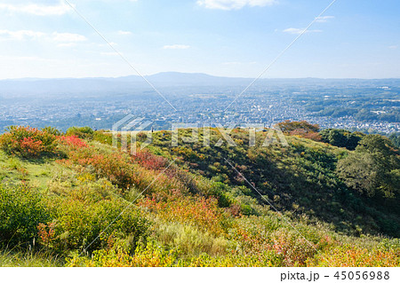 若草山と奈良の町 若草山と奈良の町 45056988