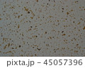 文様 45057396