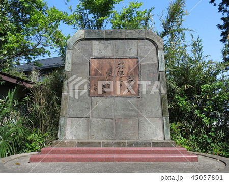我孫子市の楚人冠公園(緑南作緑地)にある杉村楚人冠碑 我孫子市の楚人冠公園(緑南作緑地)にある杉村楚人冠碑 45057801
