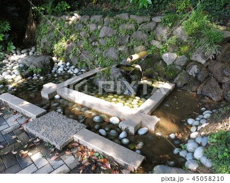 我孫子市のハケの道にある湧水（瀧井孝作仮寓跡下） 45058210