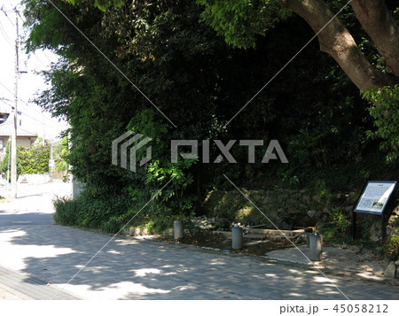 我孫子市のハケの道（瀧井孝作仮寓跡下の湧水付近） 45058212