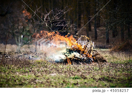 Fire which burned stick and leaves background 45058257