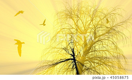 Lonely tree without leaves in fog or mist lit by bright orange sun god rays and flying seagulls 45058675