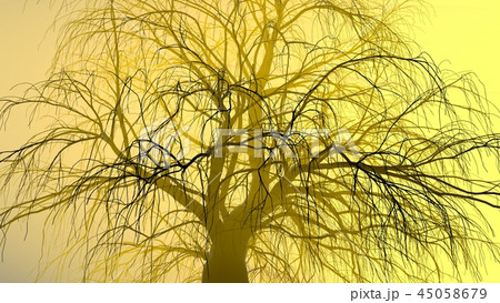 Lonely tree without leaves in fog or mist lit by bright orange sun god rays . 3d illustration Lonely tree without leaves in fog or mist lit by bright orange sun god rays . 3d illustration 45058679