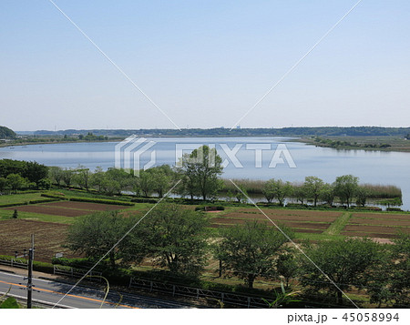 我孫子市の高野山桃山公園から見た手賀沼 45058994