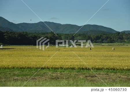 田園風景 45060730