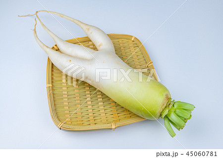 三股大根 変形大根 三股大根 変形大根 45060781