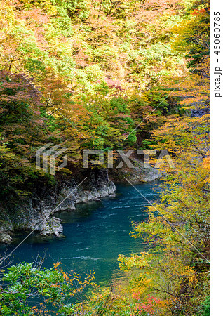 秋　抱返り渓谷　秋田県 45060785