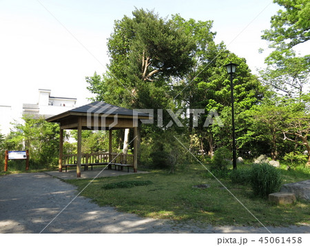 我孫子市の嘉納治五郎別荘跡（天神山緑地） 45061458