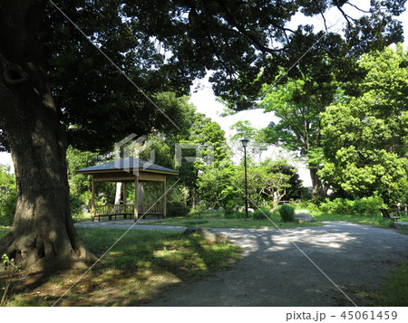 我孫子市の嘉納治五郎別荘跡(天神山緑地) 我孫子市の嘉納治五郎別荘跡(天神山緑地) 45061459
