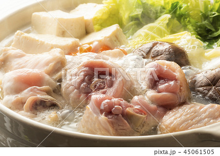 水炊きイメージ 水炊きイメージ 45061505