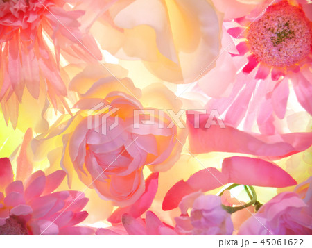 花の背景素材 花の背景素材 45061622