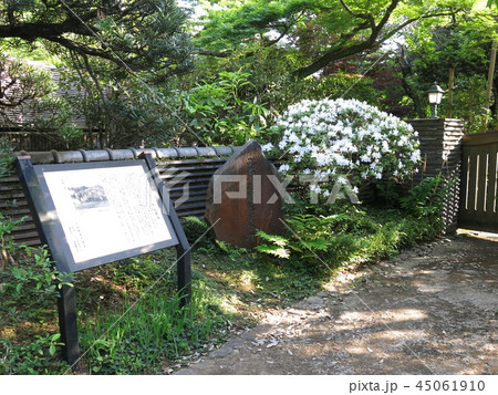 我孫子市の旧武者小路実篤邸跡 我孫子市の旧武者小路実篤邸跡 45061910