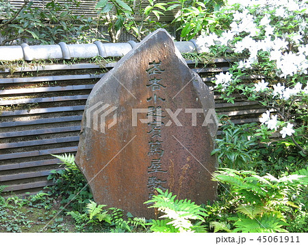 我孫子市の旧武者小路実篤邸跡にある石碑 45061911